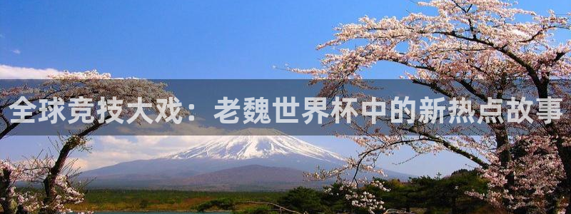 世预赛欧洲赛程表：全球竞技大戏：老魏世界杯中的新热点故事
