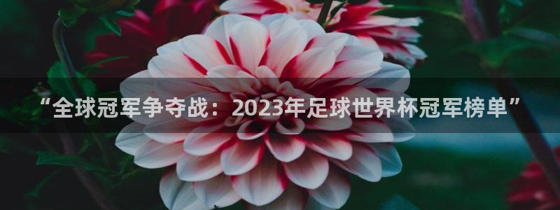 免费看足球直播比赛：“全球冠军争夺战：2023年足球世界杯冠军榜单”