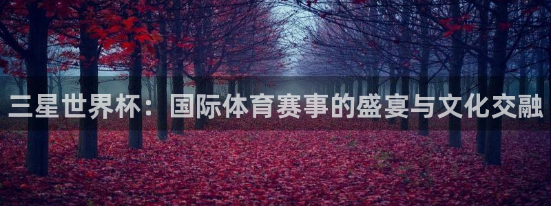 世界杯预选赛欧洲：三星世界杯：国际体育赛事的盛宴与文化交融