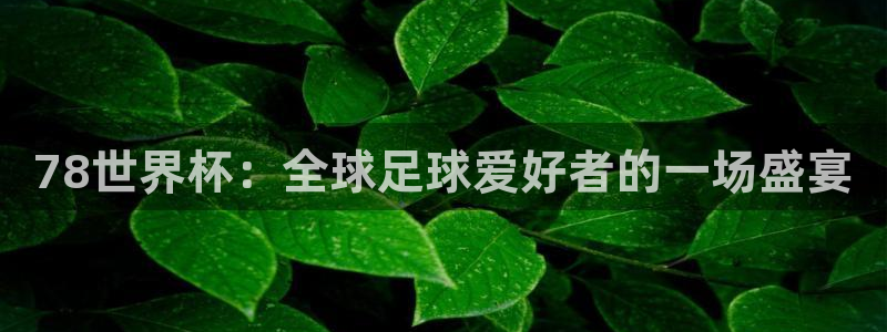 2026年世界杯直播平台：78世界杯：全球足球爱好者的一场盛宴