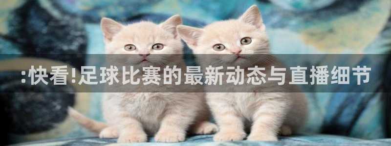 世界杯赛程2026::快看!足球比赛的最新动态与直播细节