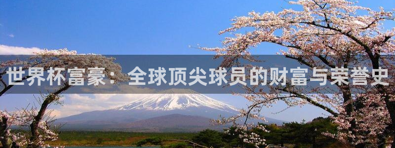 世界杯比赛：世界杯富豪：全球顶尖球员的财富与荣誉史