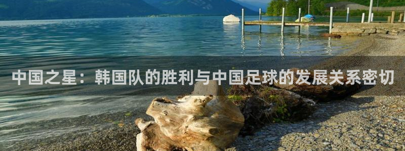 世界杯赛程表2026:中国之星:韩国队的胜利与中国足球的发展关系密切
