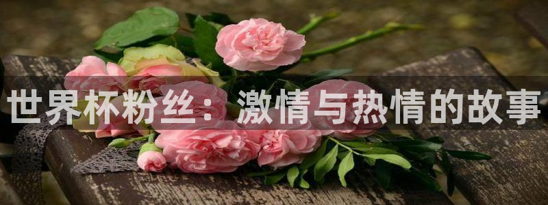 2026世界杯德国队阵容：世界杯粉丝：激情与热情的故事