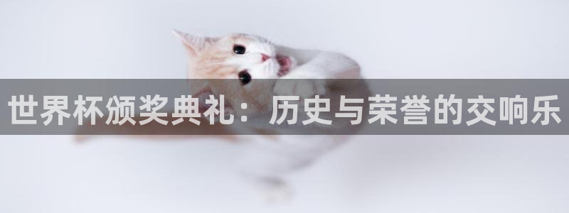 男足世界杯预选赛赛程：世界杯颁奖典礼：历史与荣誉的交响乐