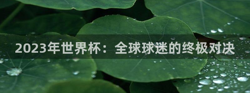 世界杯直播高清：2023年世界杯：全球球迷的终极对决