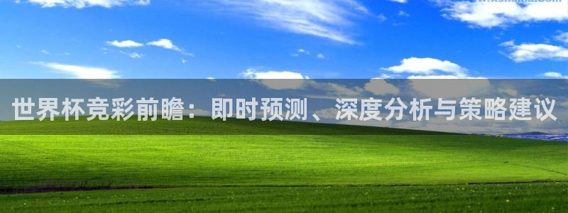 世界杯时间：世界杯竞彩前瞻：即时预测、深度分析与策略建议