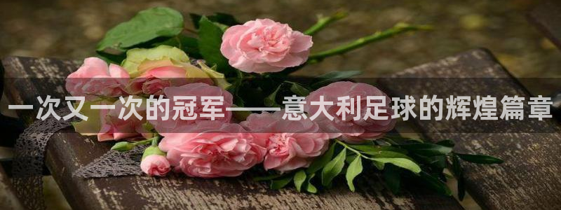 世界杯预选赛2026：一次又一次的冠军——意大利足球的辉煌篇章