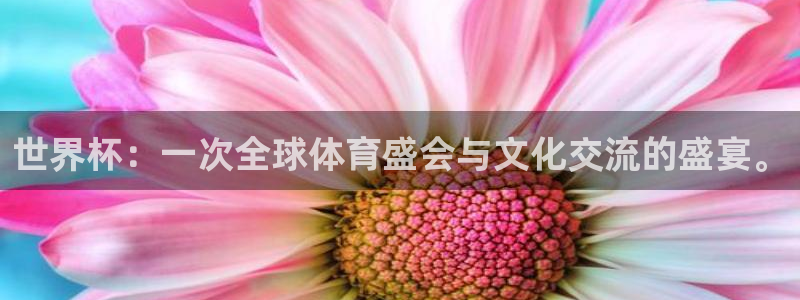 足球世界杯时间：世界杯：一次全球体育盛会与文化交流的盛宴。