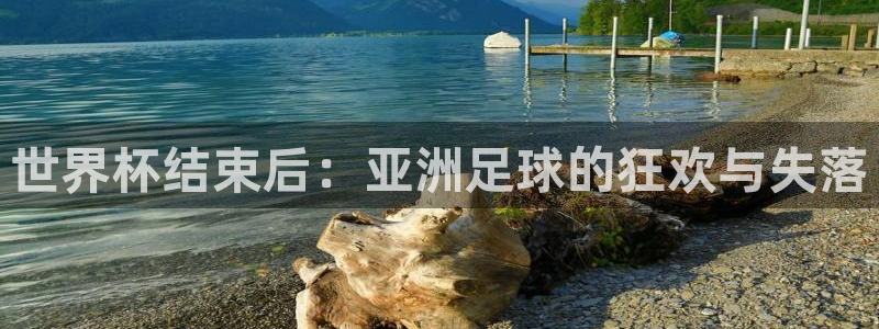 2026世界杯日期：世界杯结束后：亚洲足球的狂欢与失落
