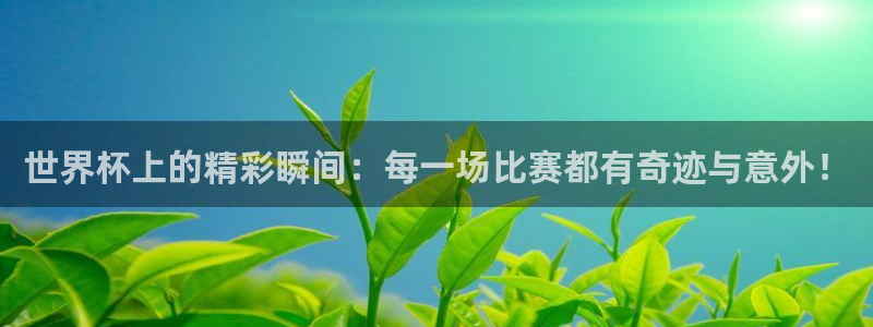 2006年世界杯冠军：世界杯上的精彩瞬间：每一场比赛都有奇迹与意外！